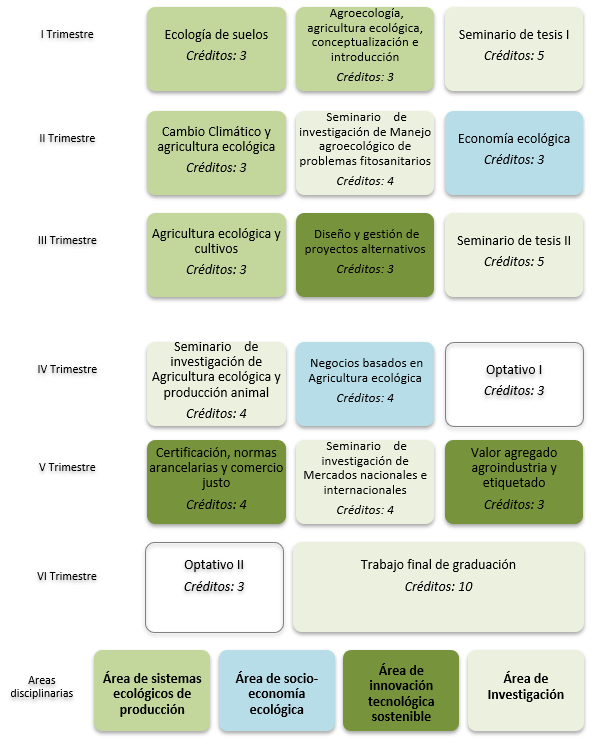 Malla Curricular